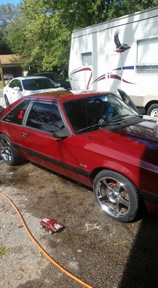 stang1.webp
