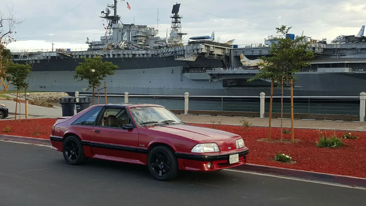 stang1.webp