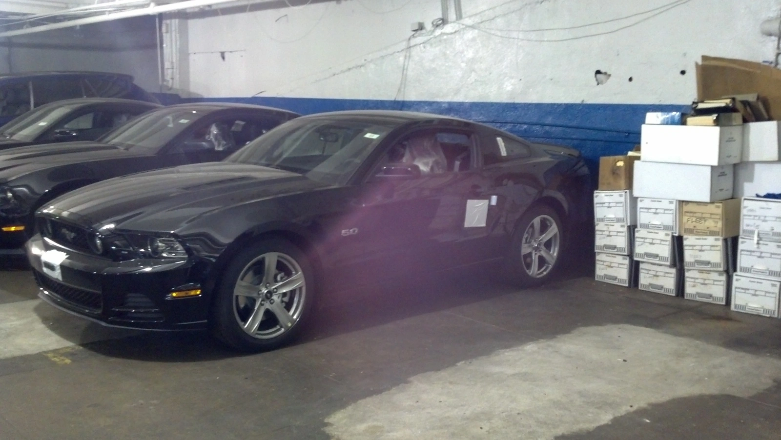 STANG1.webp