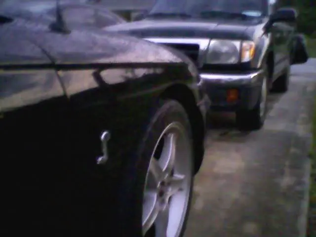 stang10.webp