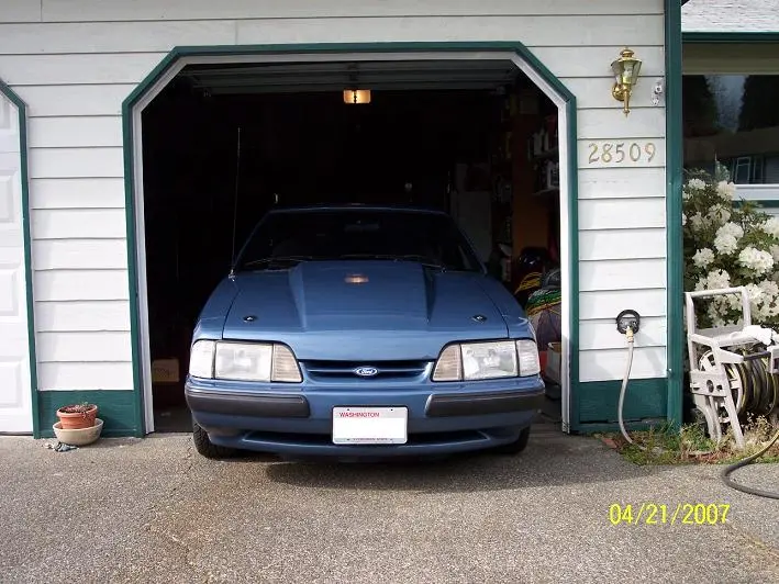 stang10.webp