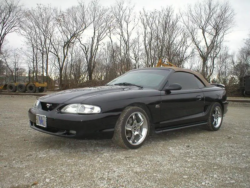 stang10.webp