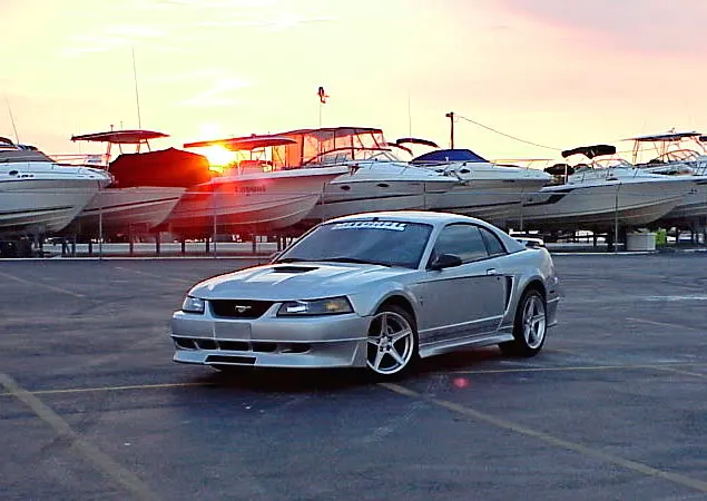Stang10.webp
