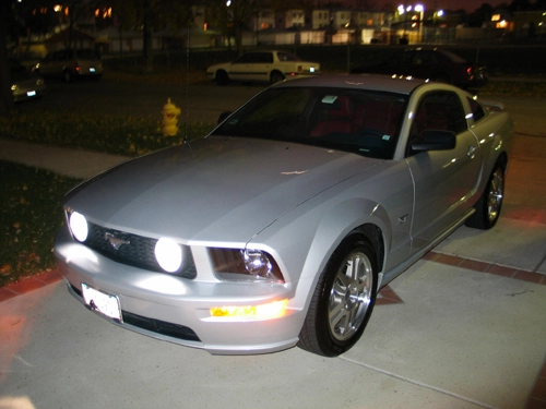 stang101.webp