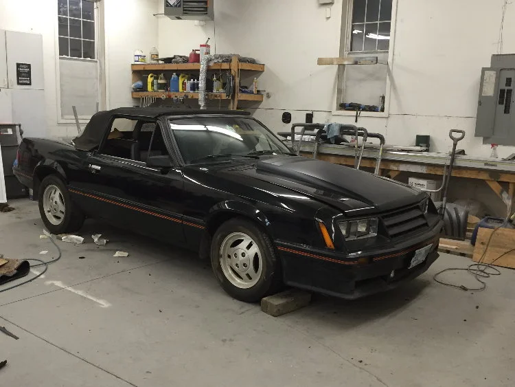 stang101bhb.webp