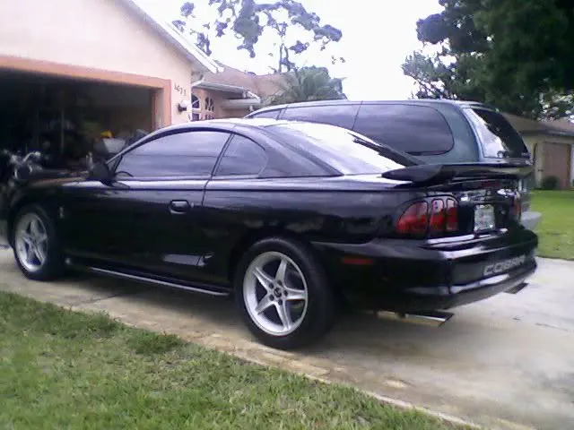 stang11.webp