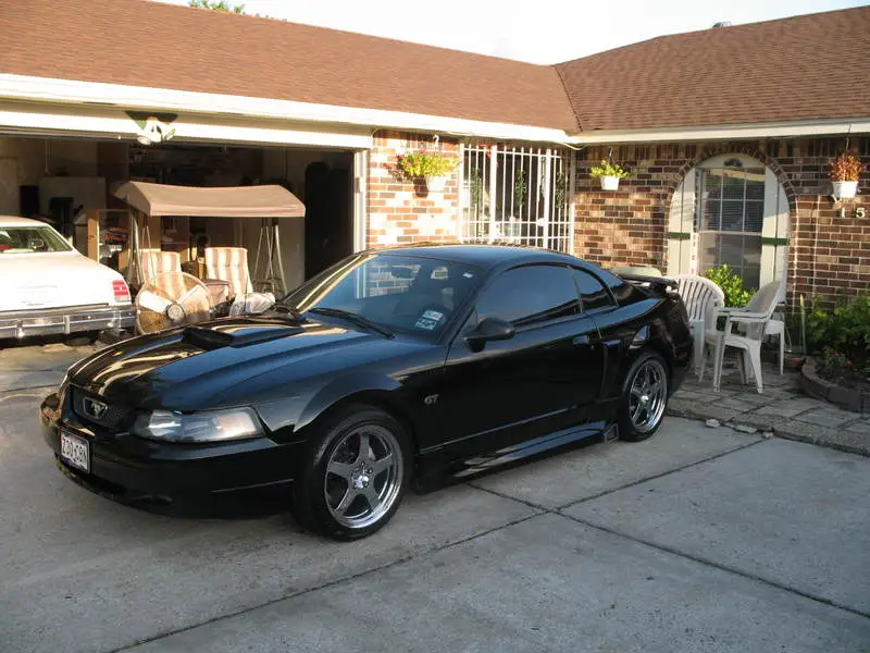 Stang11.webp