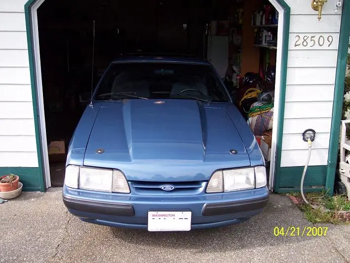 stang11.webp