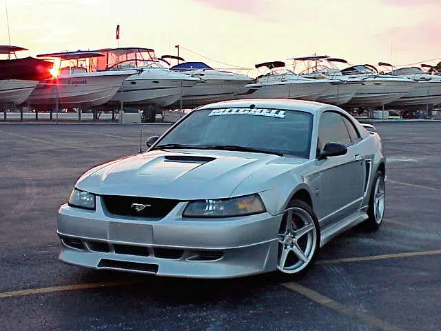 Stang11.webp