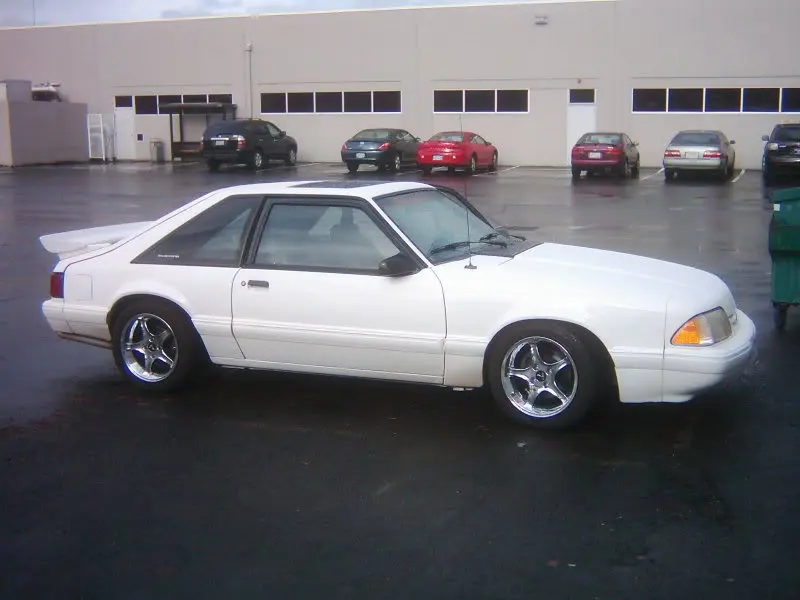 stang1106003.webp