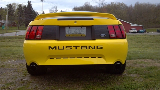 stang12.webp