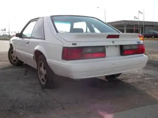 stang13mq.webp