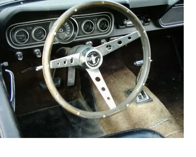 stang14.webp