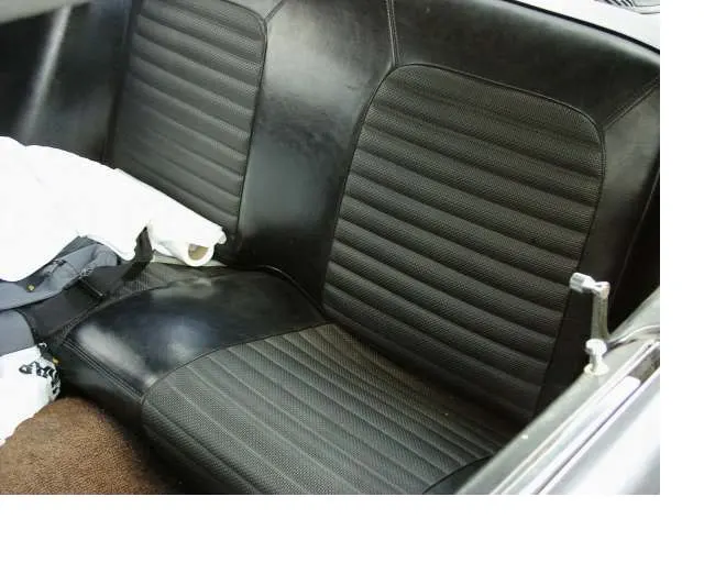 stang15.webp