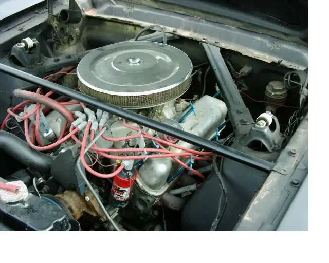 stang16.webp