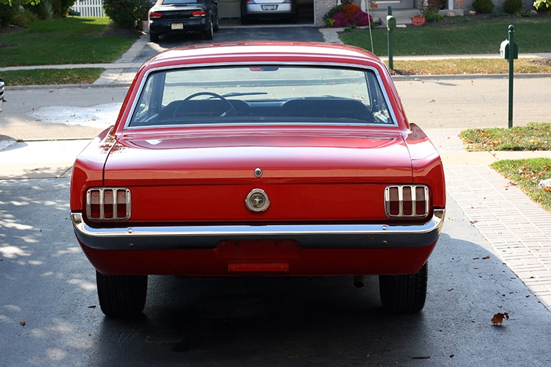 Stang1_800.webp