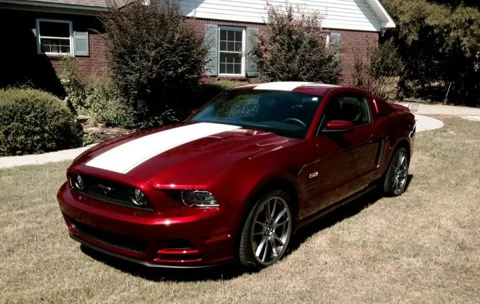 Stang1_zps10d640f4.webp
