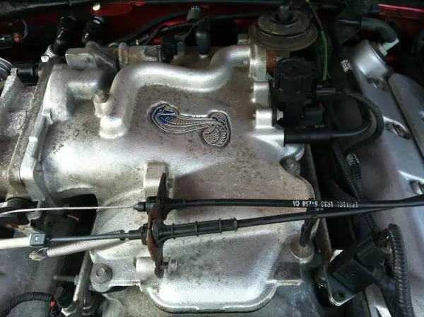 Stang1_zpsgornbnbt.webp
