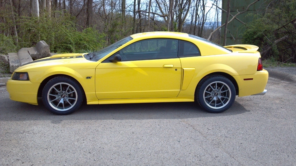 stang2 (1024x576).webp