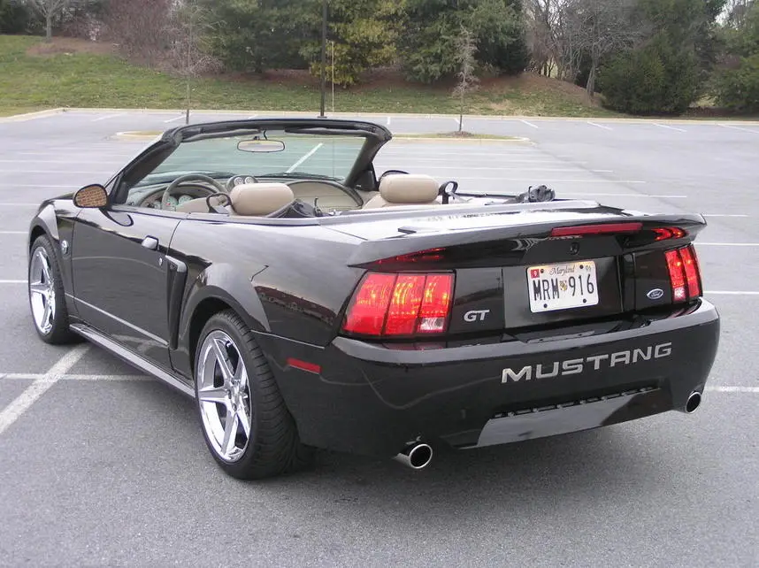 stang2-2006033.webp