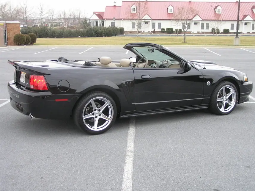 stang2-2006039.webp