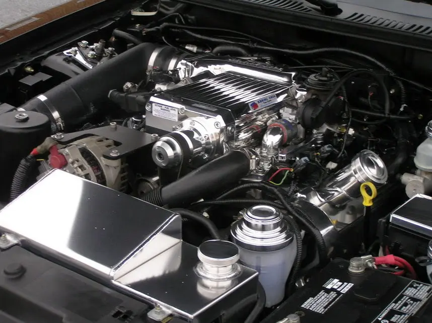 stang2-2006040.webp