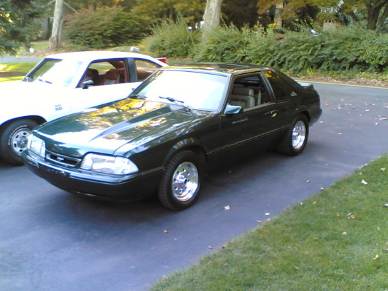 stang2.jpg