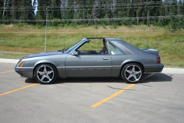 stang2.webp