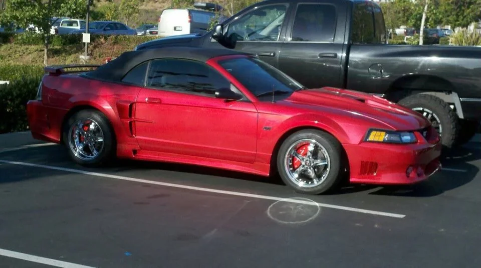 Stang2.webp
