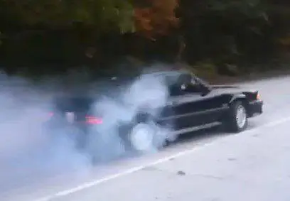 stang2.webp