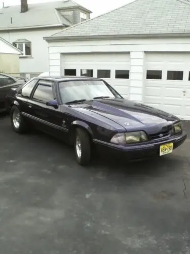 stang2.webp