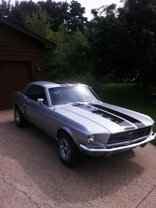 stang2.webp