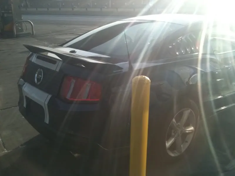 stang2.webp