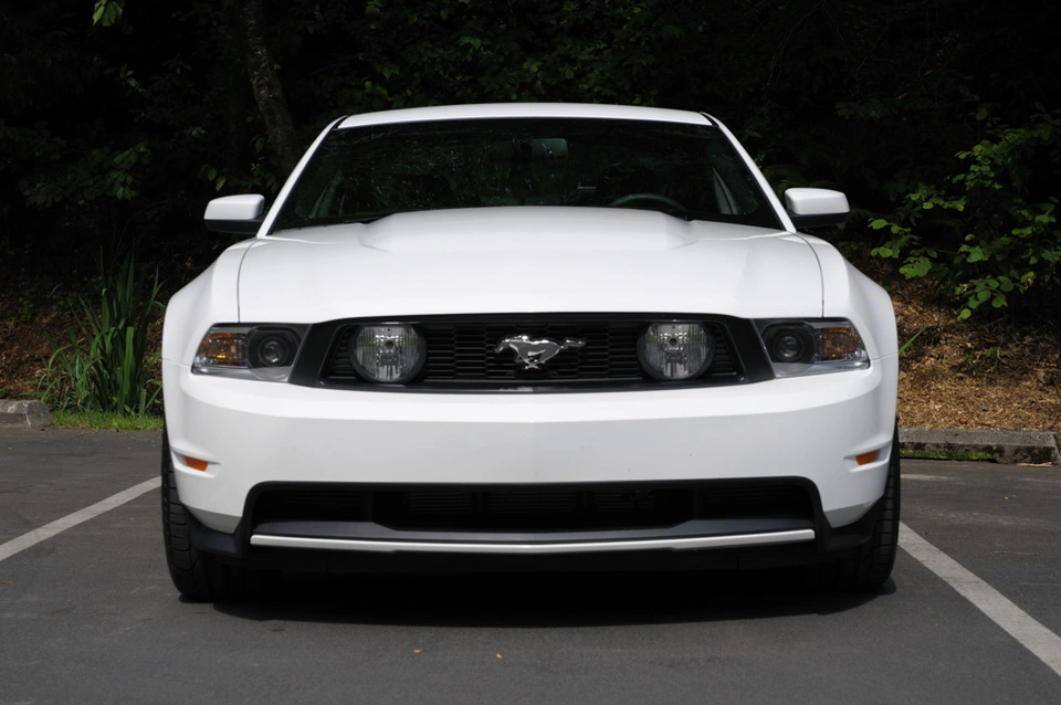 stang2.webp
