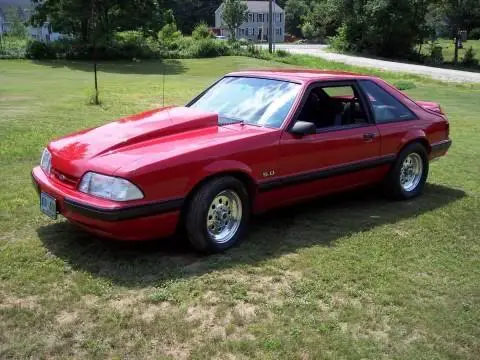 Stang2.webp