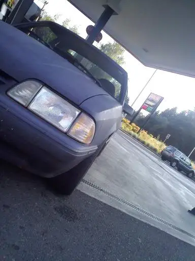 stang2.webp