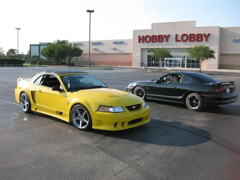 stang2.webp