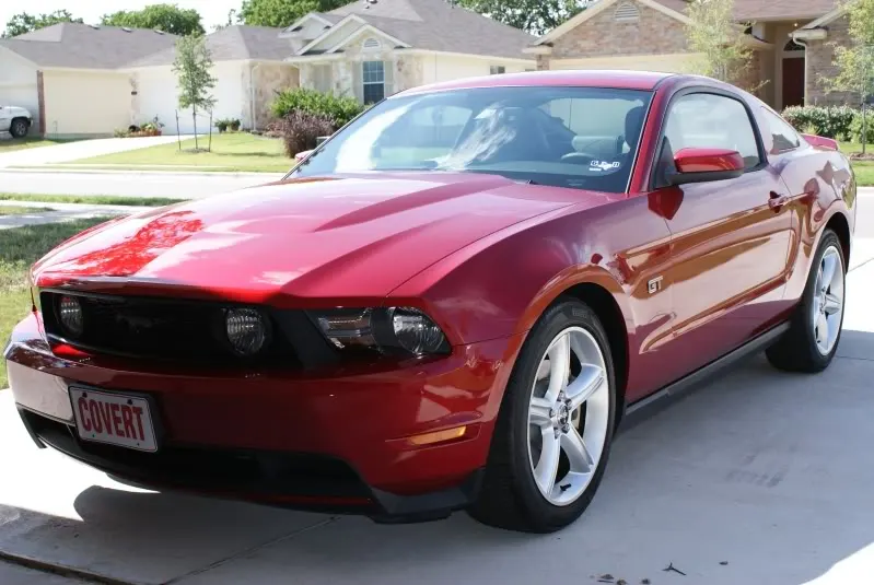 Stang2.webp
