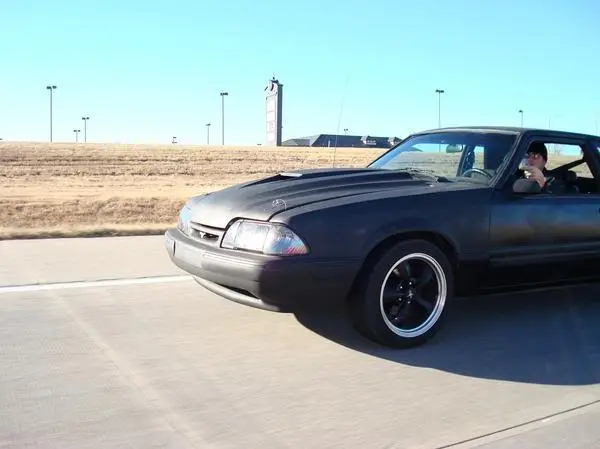 stang2.webp