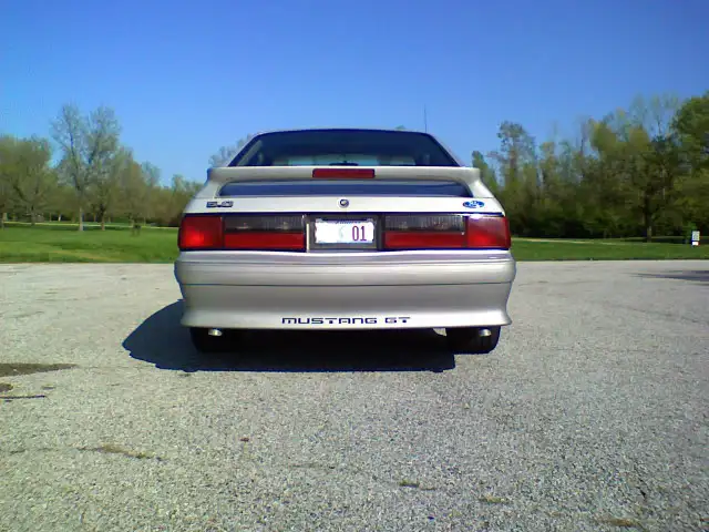stang2.webp