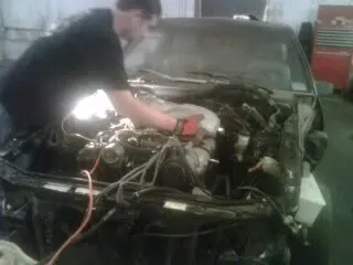stang2.webp