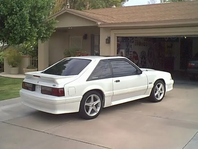 stang2.webp