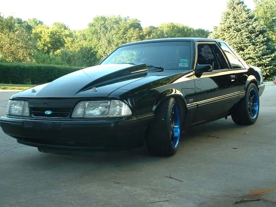 stang2.webp