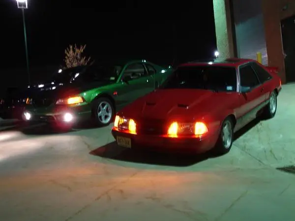 stang2.webp
