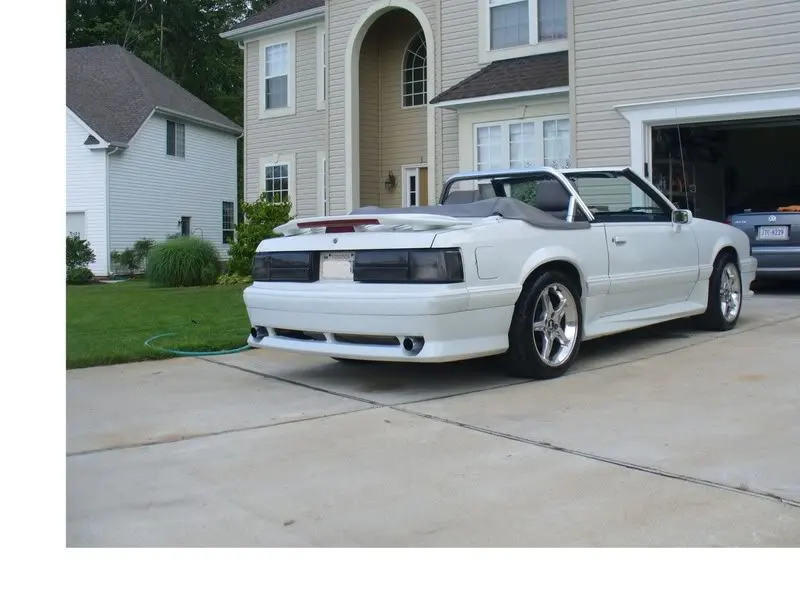 stang2.webp