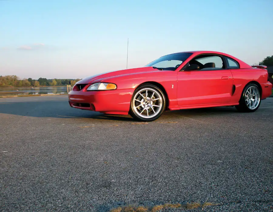 stang2.webp