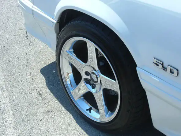 stang2.webp
