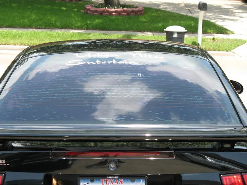 Stang2.webp