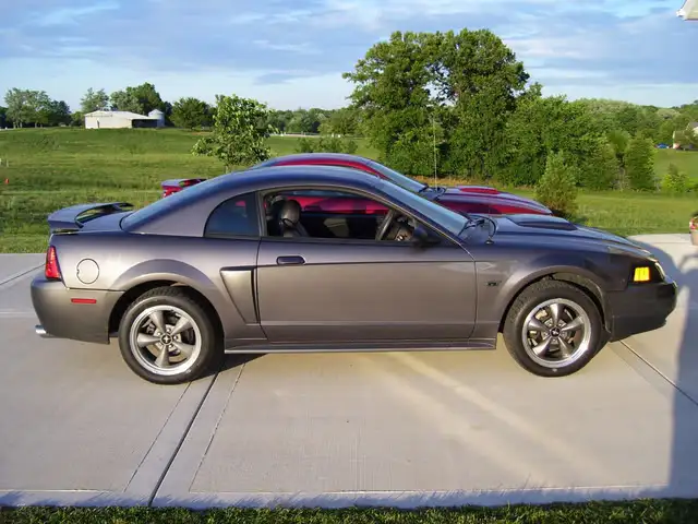 Stang2.webp