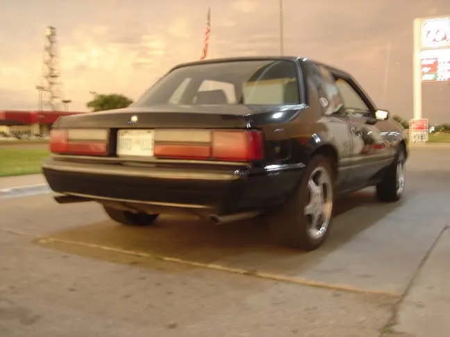 stang2.webp
